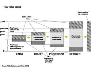 Value Chain modelling